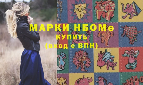 индика Арсеньев