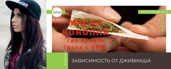 индика Арсеньев