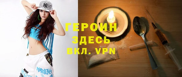 индика Арсеньев