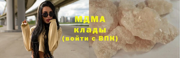 индика Арсеньев