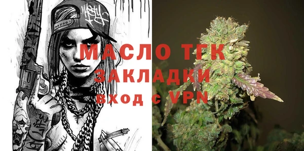 индика Арсеньев