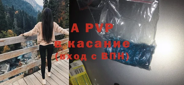 индика Арсеньев