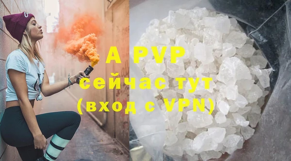 индика Арсеньев