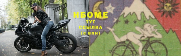 индика Арсеньев