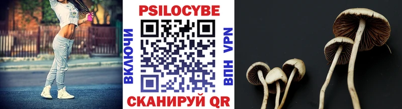 Галлюциногенные грибы GOLDEN TEACHER  Купить  Дзержинский 